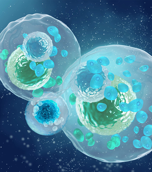 mast cell activation